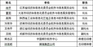 軟件外包行業(yè)聚力發(fā)展，第四屆中國軟件與信息服務(wù)外包年會(huì)成功舉辦